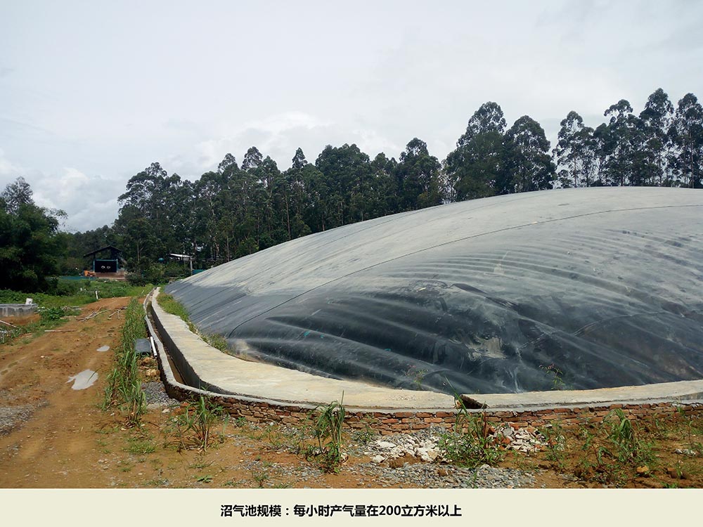 沼氣池規(guī)模.jpg 沼氣池規(guī)模.jpg