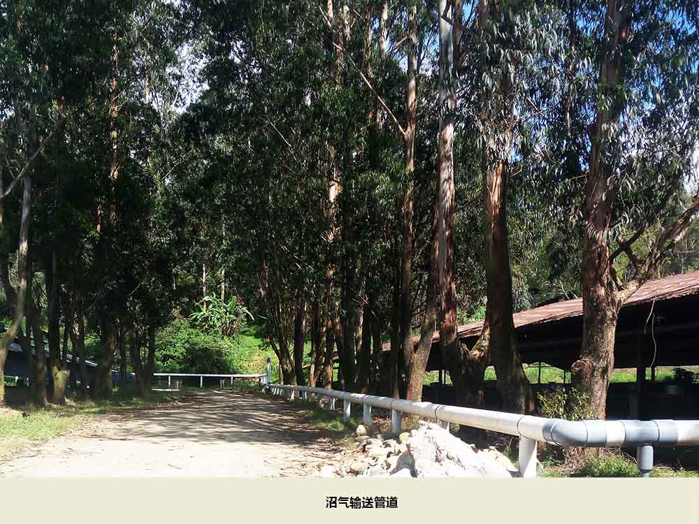 沼氣輸送管道.jpg 沼氣輸送管道.jpg