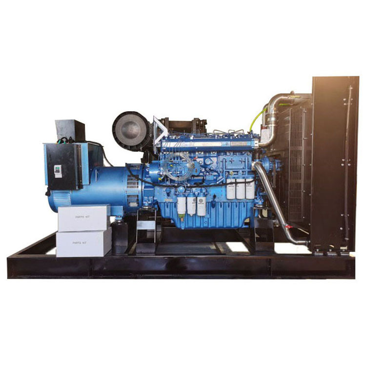 濰柴500kw.jpg